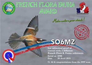 20250428_Award-FFF_H05_SO6MZ_