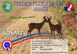 20251025_Award-FFF_H10_SO6MZ